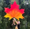 สีแดง