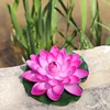 Pink Eva lotus flower [Leaves approximately 18cm]