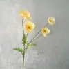 jaune pâle