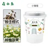 Daisy Planting Kit