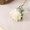 una rama blanca
