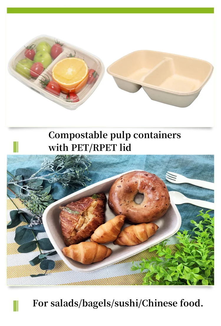 Takeout Sugarcane Bagasse Container With Lid Biodegradable Food Packaging Bagasse Packaging