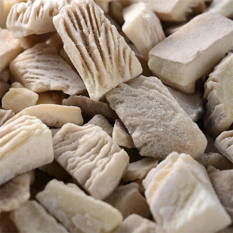 2025 China Supplier Export IQF Vegetables Frozen oyster Mushroom With Good Price