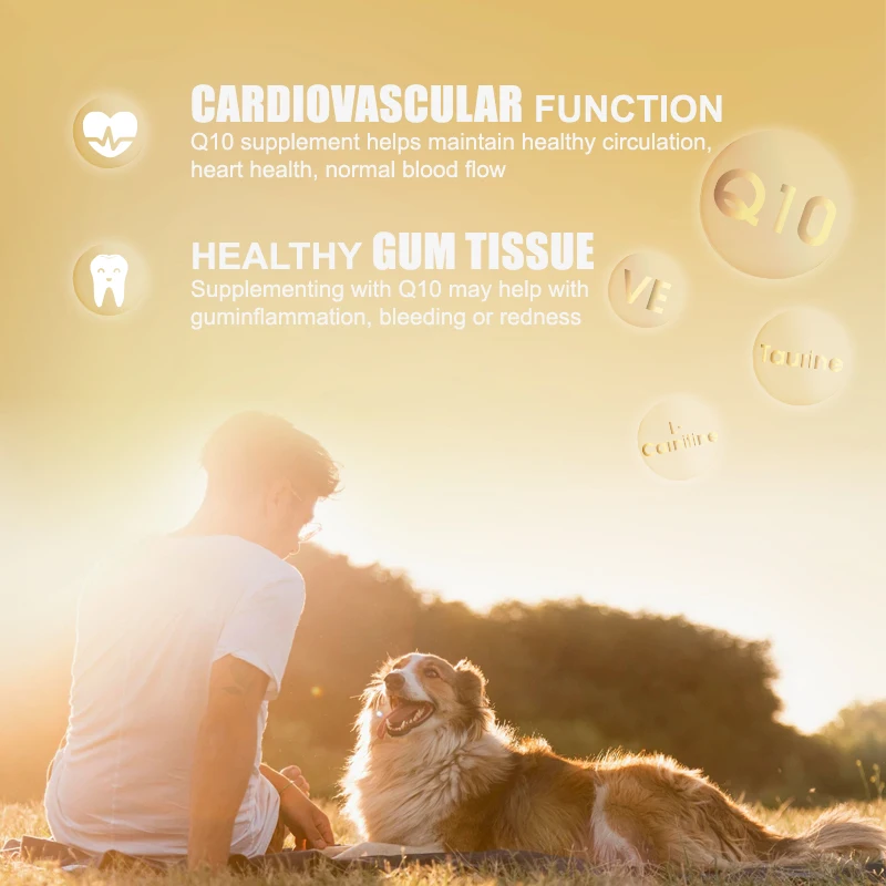 Oem Better Absorption Coenzyme Q10 For Pet Dog Heart And Cardiovascular