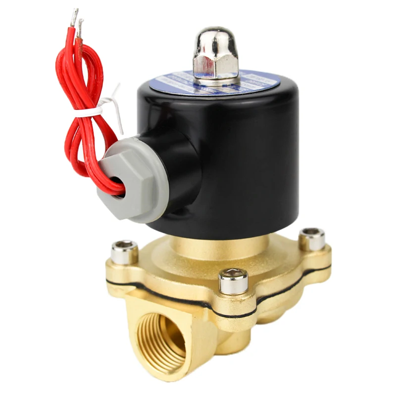 2W Normally Close Electric Brass 12v 24v 220V 1 2 3 Inch Solenoid Valve for Water Control Two Way Magnetic Water Solenoid Valve