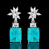 Paran blue ear studs