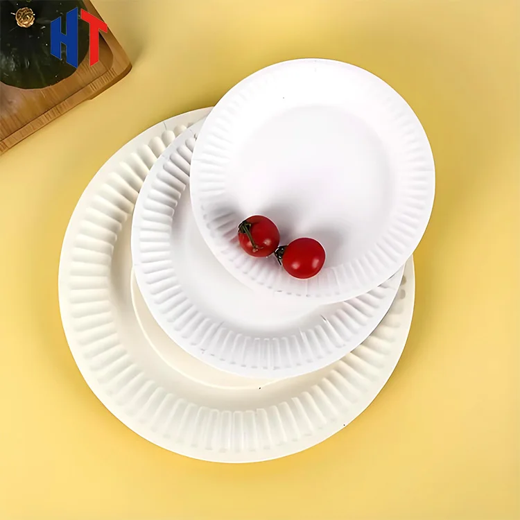 Eco-Friendly Disposable Biodegradable Paper Oval Plates for Food or Fruit