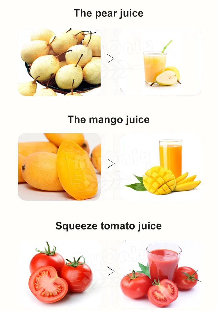 Multi-function machine for cold pressing fruit cold press slow juicer extractor machine for good sale