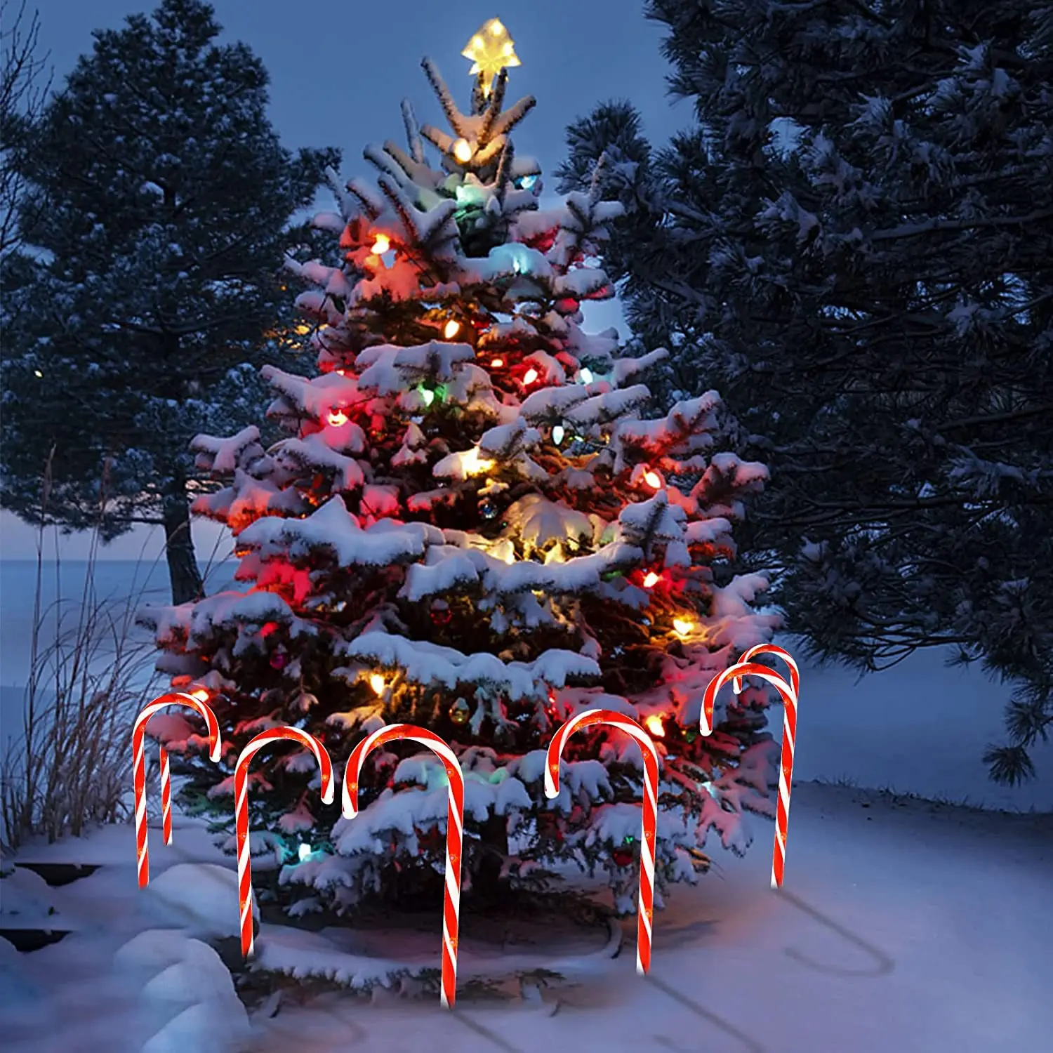 Lumières Solaires de Canne de Noël Chemin Sucette - 1 Panneau avec 5 Lumières LED Lumières Décoratives Étanches pour Éclairage Extérieur de Cour