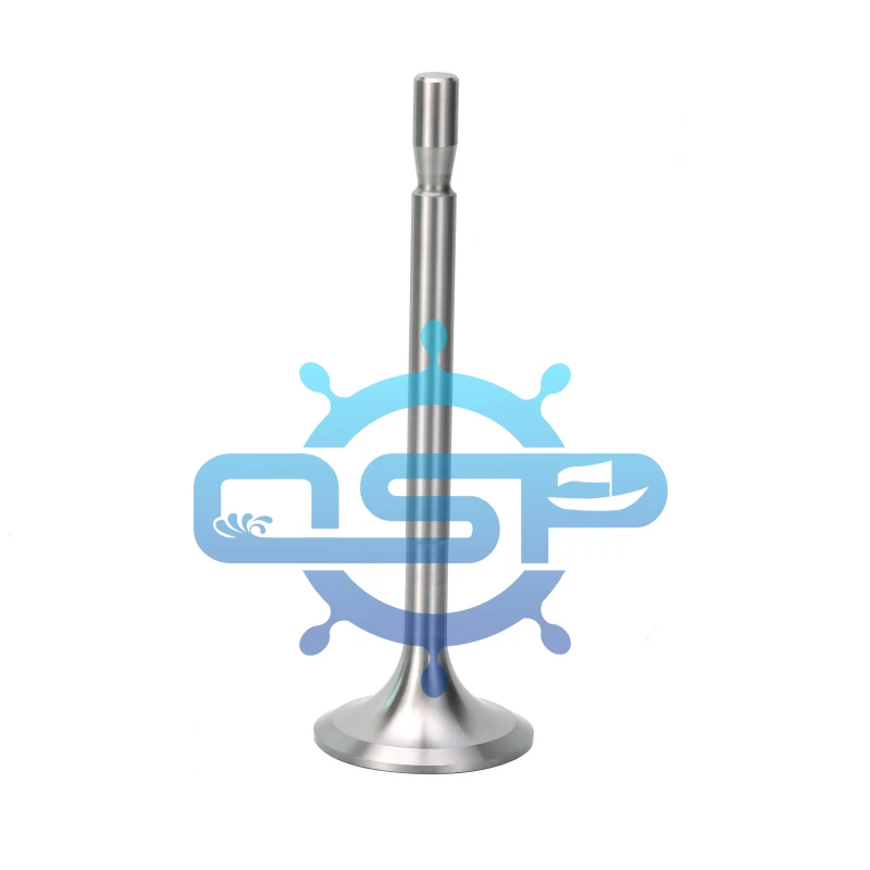 ODM Запчасти для дизельного двигателя судовые клапаны SKL NVD26 впускной клапан Exhasut