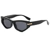 Monture noire - Verres gris noir
