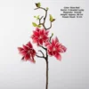 Fortune star magnolia-rose red