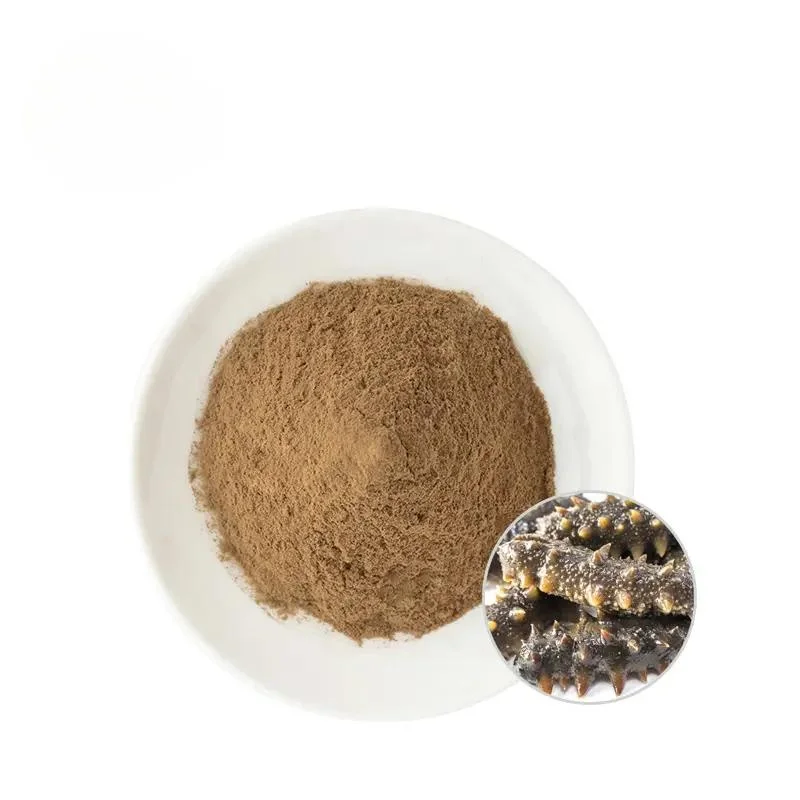 High Quality Healthcare Supplement Sea Cucumber Extract Powder Buy