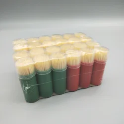 2021 manufactory ultra low-cost 100% compostable Eco friendly bottle box disposable bamboo toothpicks for  party  and BBQ