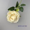 Velvet open core rose-champagne color