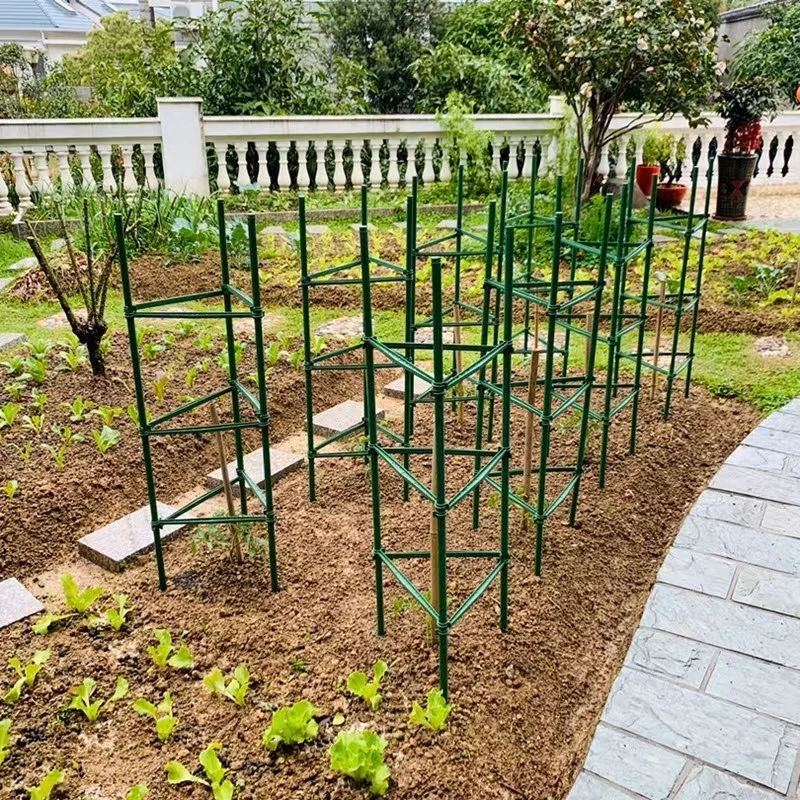 Support Cage Stand Rings Trellis
