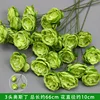 Green 3-headed Austin branch
