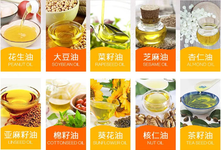 Small Coconut Oil Extraction Machine Avocado Oil Press Machine