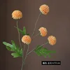 Arancione