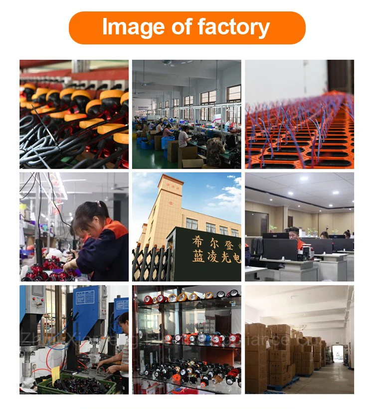 Company.jpg