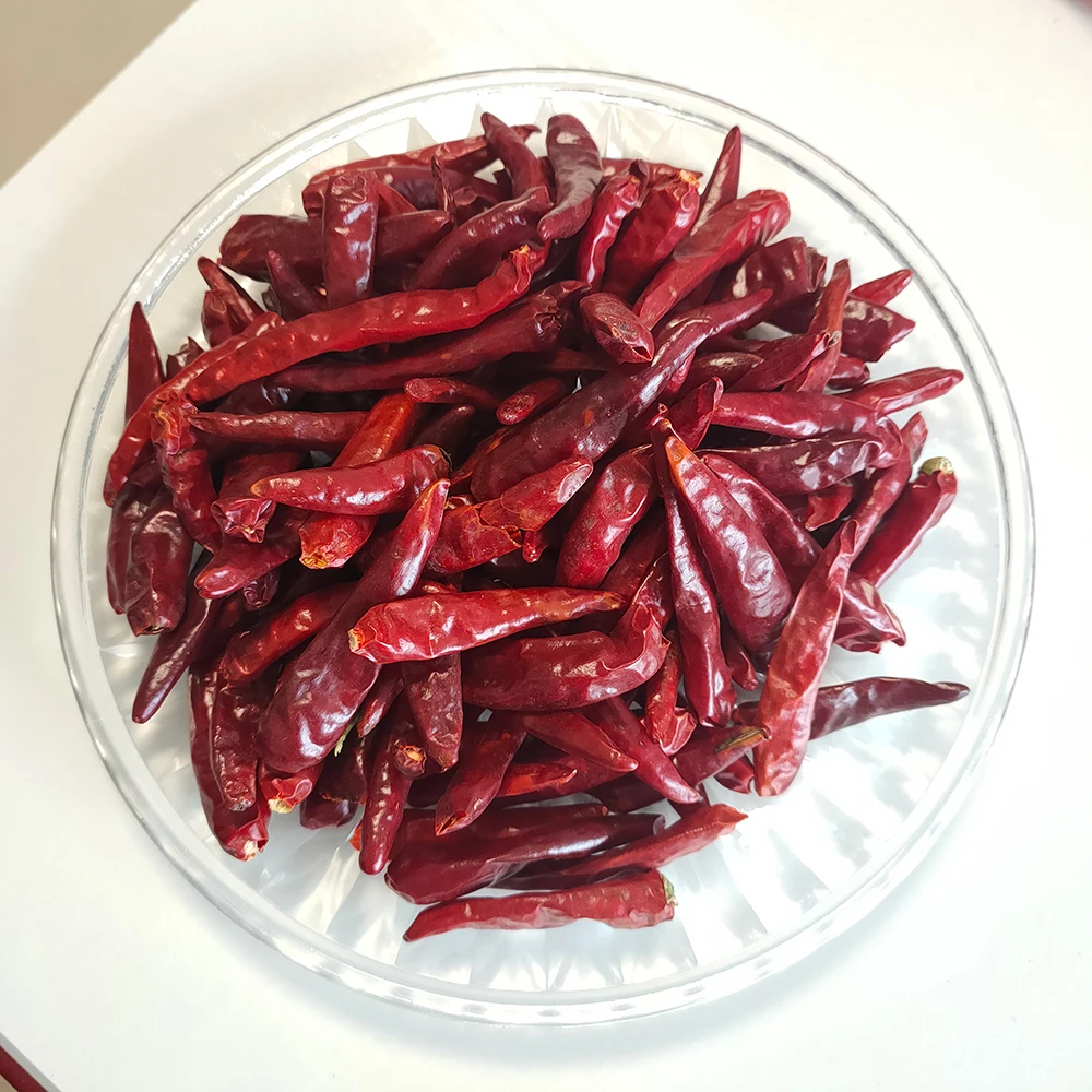 Chilli Manufacturers export dried red chilli