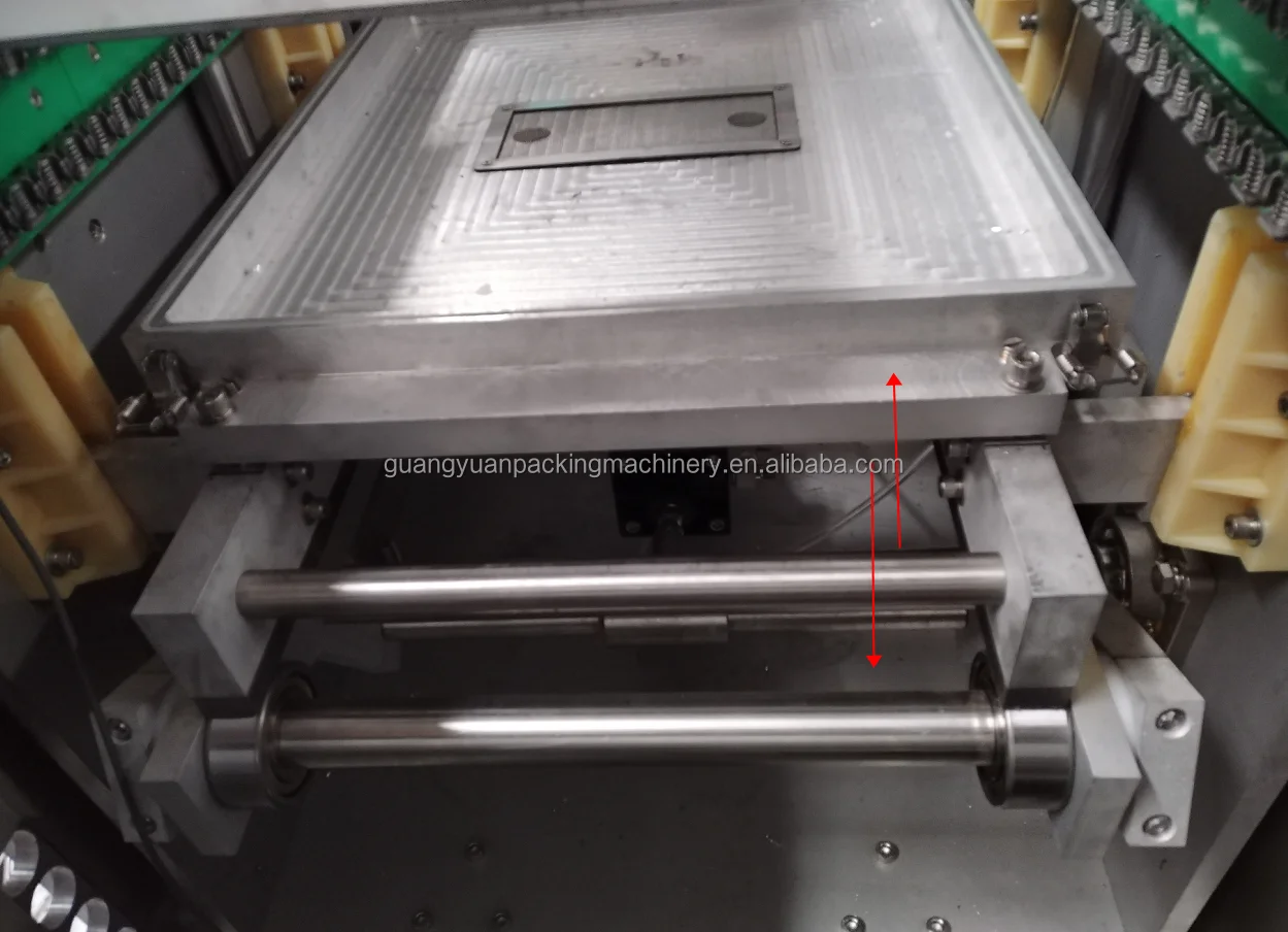 Date Palm Paste Vacume Thermoforming Packaging Machine Saudi Dates ...