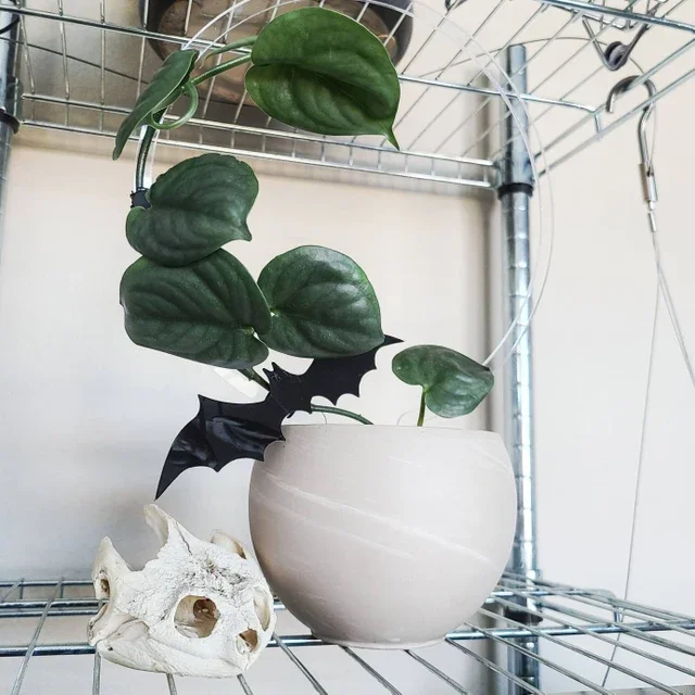 thumbnail image 2 of Plant Trellis Indoor,Clear Acrylic Plant Trellis For Potted 2 of 13