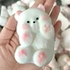 Pampered Bear [Emballage nu] [Personnalisation disponible]