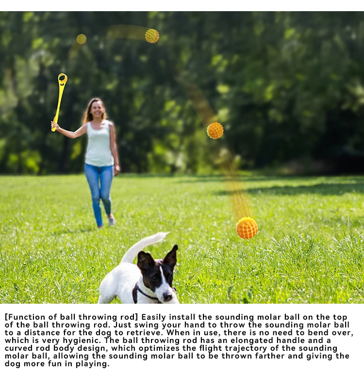 NEW Pet Supply Factory Wholesale Company's New  Bite Sound Dog Toy Outdoor Ball Thrower supplier