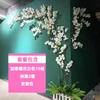 Cherry Blossom Set Menu - 18
