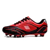 26029 punte nere e rosse