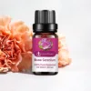 Rose geranium