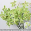 Orquídea Vanda verde de 3 cabezas
