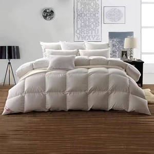 Wholesale Comforter Sets Bedding Summer White Velvet Duvet Bed Quilts Blanket Luxury Hotel High Quality Duvet