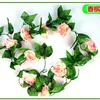Rosa de nueve cabezas color champagne