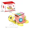 Pink ( HY-074651 )- Color Box
