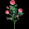 Dark pink