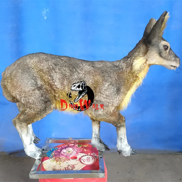 Dino0061  Custom Emulation Realistic Life Size  Resin Robotic Animatronic Wild Animal Model for Sale