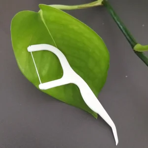 Daily Care Customize Multi-function Dental Picks JS2001A Mint Flavor Dental Floss Picks for Adult Oral Clean