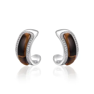 Autumn Winter High-End C-Type Tiger Eye Micro-Infused Brass Jewelry Simple Temperament Diamond Original Fashion Hoop Earrings