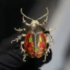 Spilla scarabeo in oro a 2 colori, scatola regalo con scatola a sospensione nera e fiocco