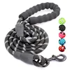 Dog Leash 01