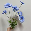 Nouveau 6 têtes bleu