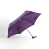 Violeta