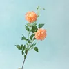 A warm orange branch
