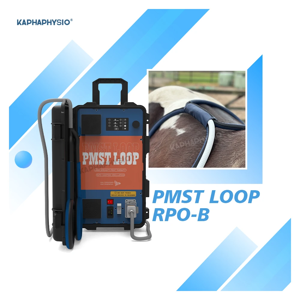 Stock Available  PMST Loop Pro B PEMF Electro Magnetic Therapy Horse Device for Pain Relief