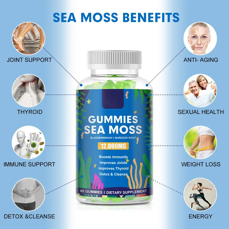 Private Label Vegan Sea Moss Gummies For Immune System 30 Counts Seamoss And Bladderwrack Gummies Gummi Vitamin manufacture