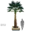 Palmera Altamente Realista