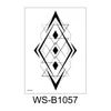 WS-B1057