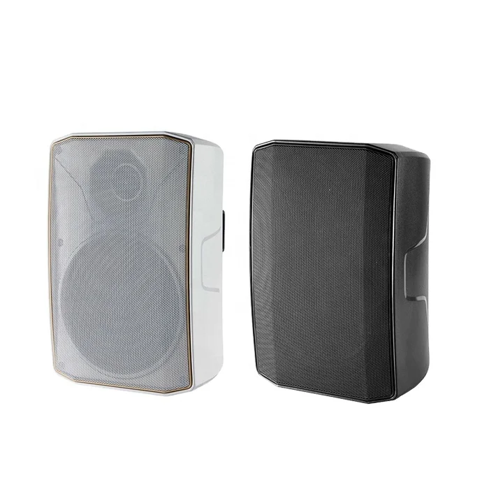 Professional New Mountable Midrange Two Way Slim Audio Fansion Style Wall Speaker